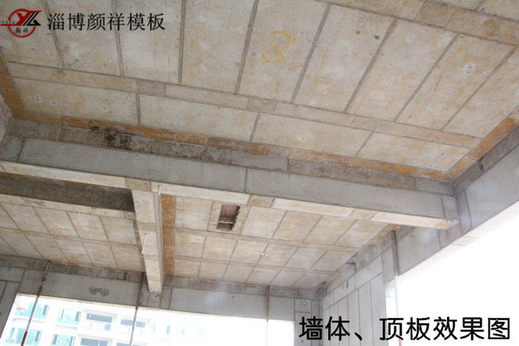 墻體、頂板效果圖